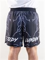 Шорты для мма Молнии (взрослые) 230ec734-7ca3-11ee-0a80-02e70014d12e - фото 516