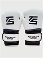 Перчатки боксерские WHITE- BLACK TS 18 2e3e2906-7770-11f0-0a80-16b4000e816e - фото 768