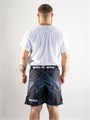 Шорты для MMA Bad Boy Legacy Light Shorts черный 335260a9-6e87-11ee-0a80-0d2e00130278 - фото 855